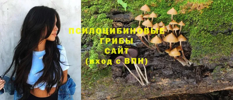 Галлюциногенные грибы Magic Shrooms Питкяранта